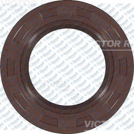 REINZ 81-25516-10 Krank Kecesi On Astra-Vectra (31x50x8/7)